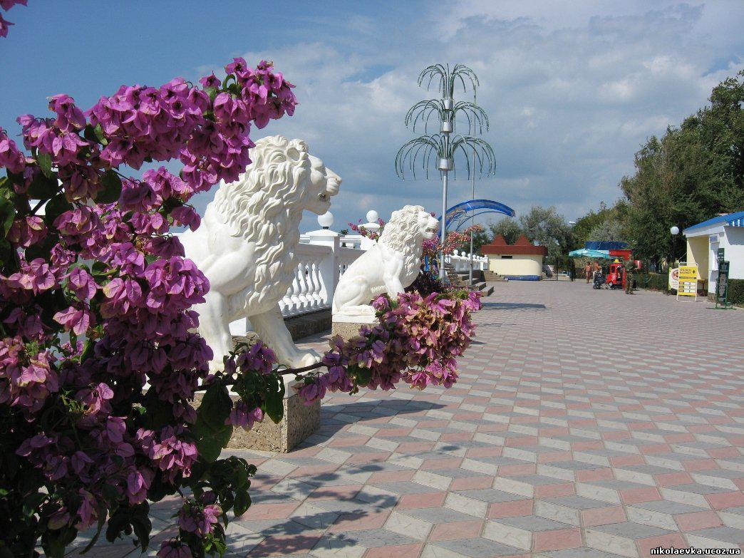 Отдых в Николаевке у моря