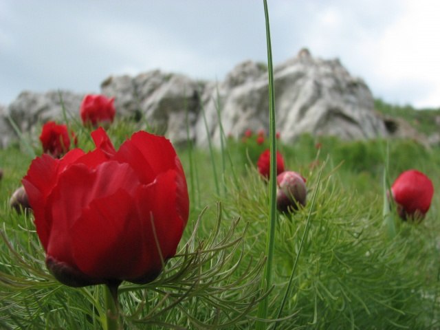 Весенний отпуск в Николаевке